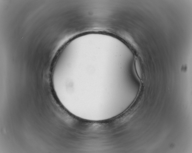 X0000091511412200709141346