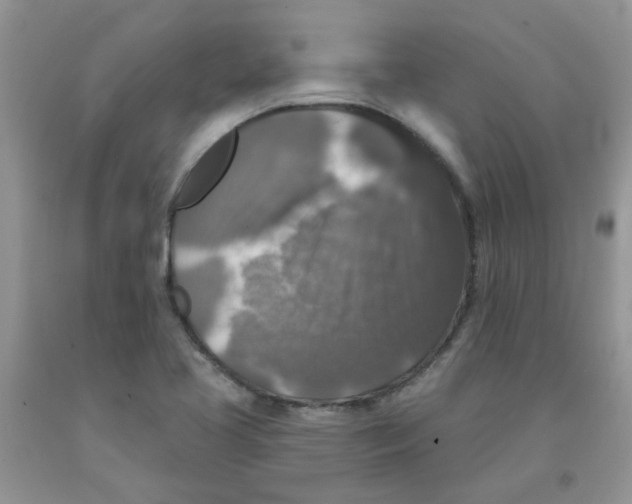 X0000091511413200709141346