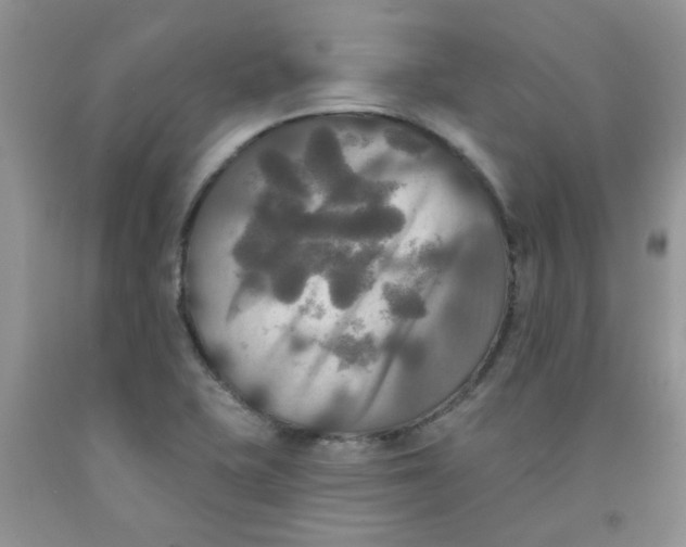 X0000091511415200709141346