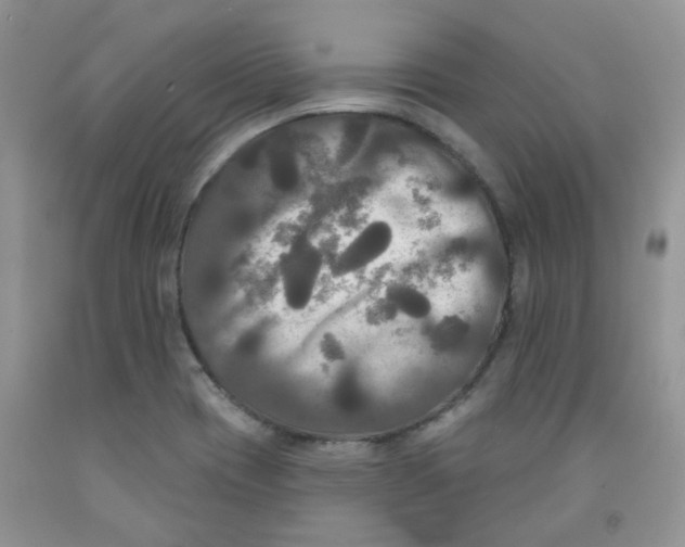 X0000091511417200709141346