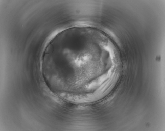 X0000091511419200709141346