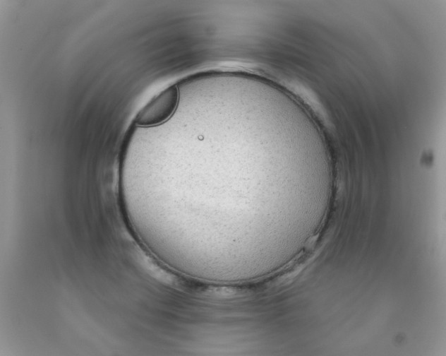 X0000091511420200709141346