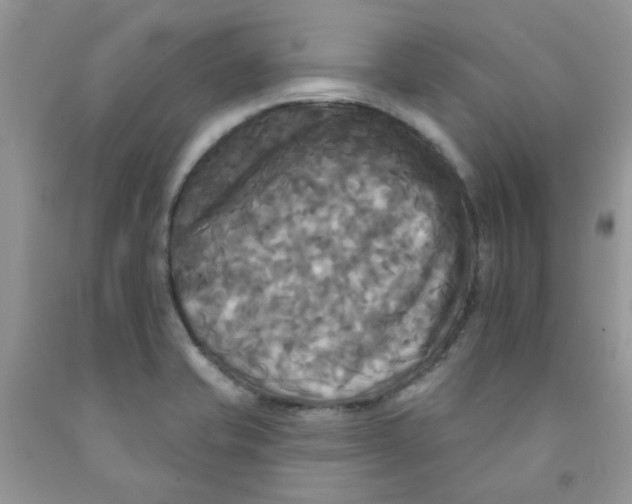 X0000091511421200709141346