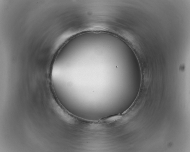 X0000091511422200709141346