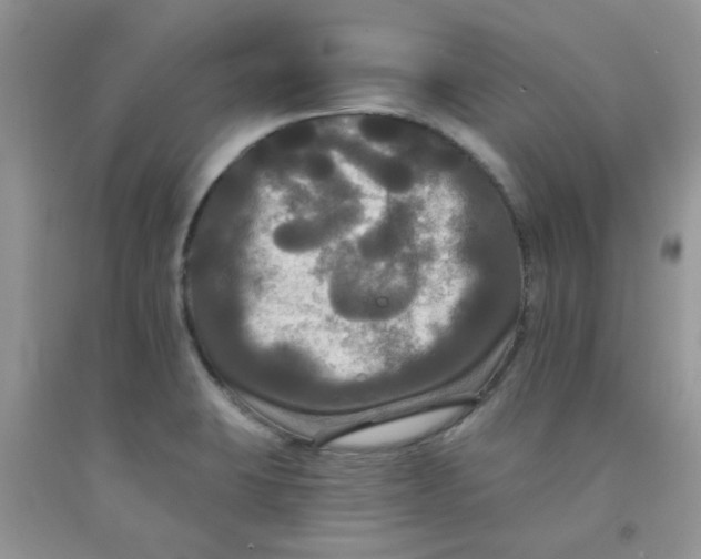 X0000091511423200709141346