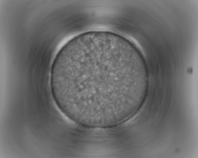 X0000091511424200709141346