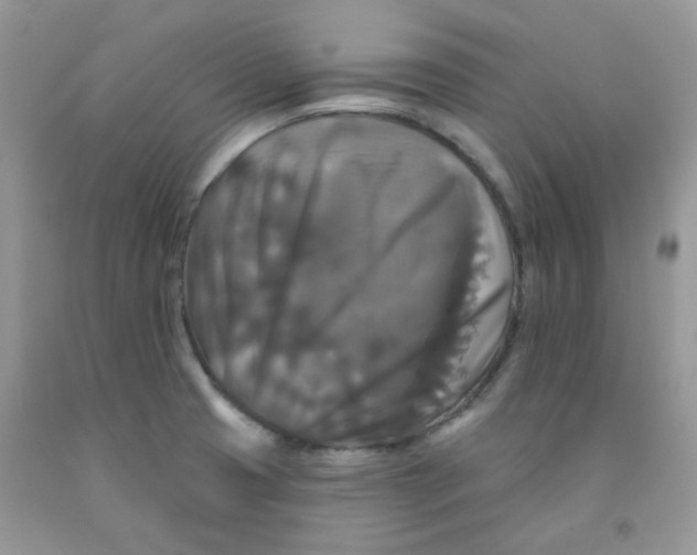 X0000091511425200709141346