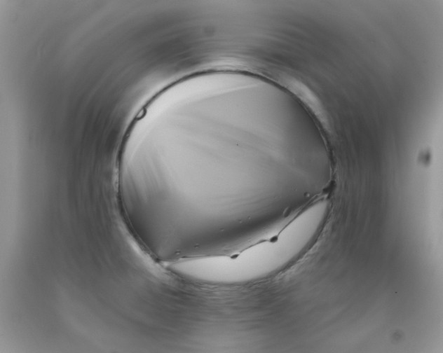 X0000091511428200709141346