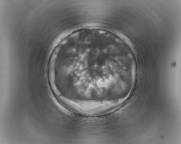 X0000091511429200709141346