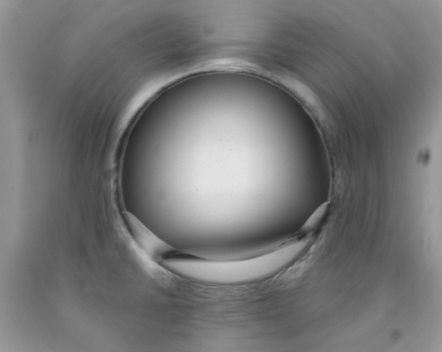 X0000091511430200709141346