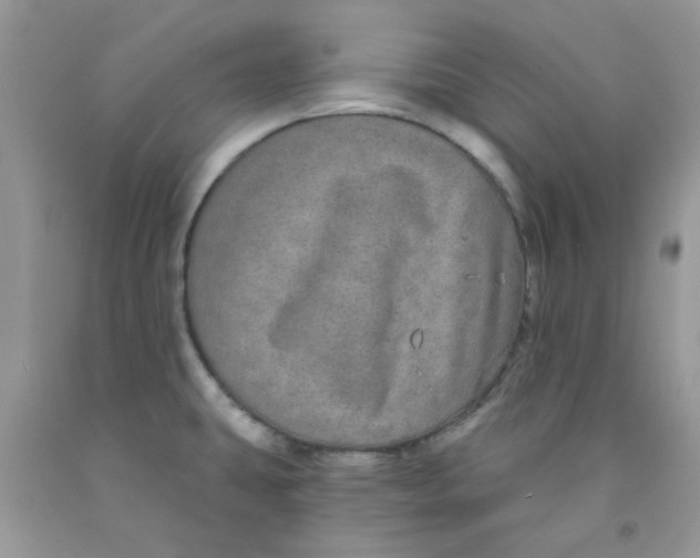 X0000091511431200709141346