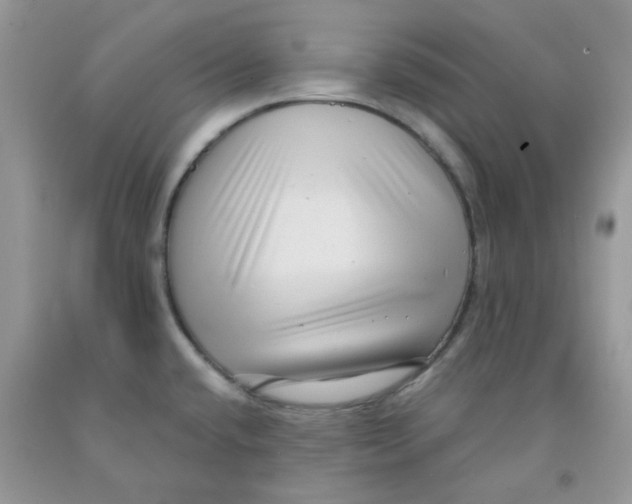 X0000091511432200709141346