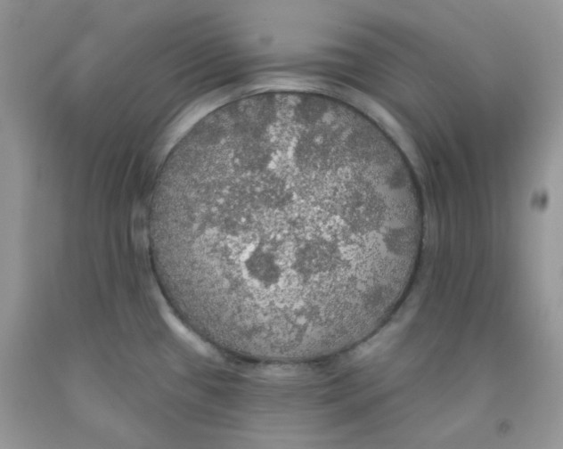 X0000091511433200709141346