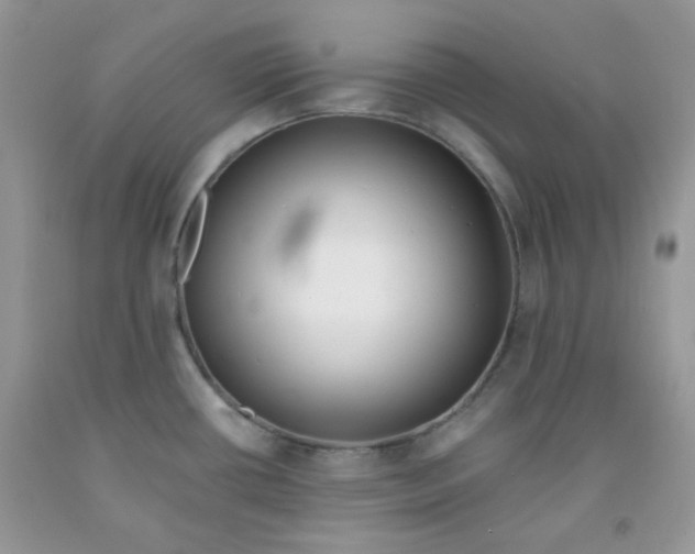 X0000091511434200709141346