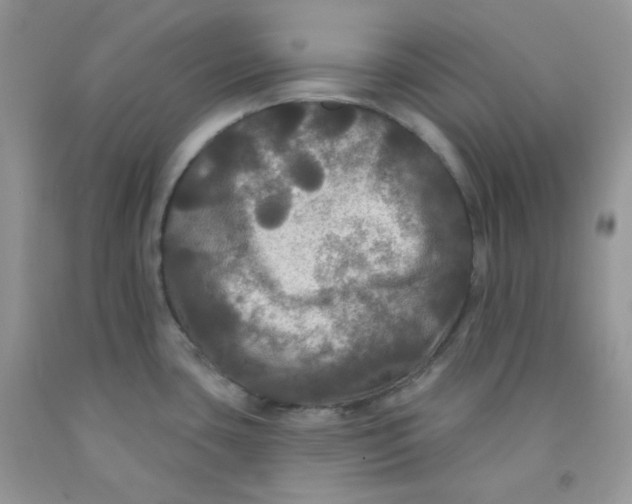 X0000091511435200709141346