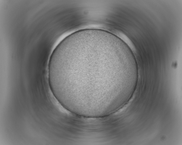 X0000091511436200709141346