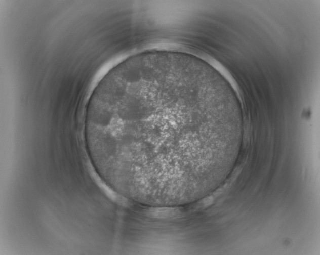 X0000091511437200709141346