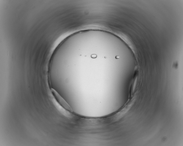 X0000091511438200709141346