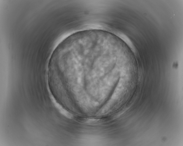 X0000091511439200709141346