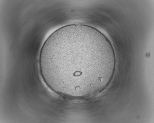 X0000091511440200709141346