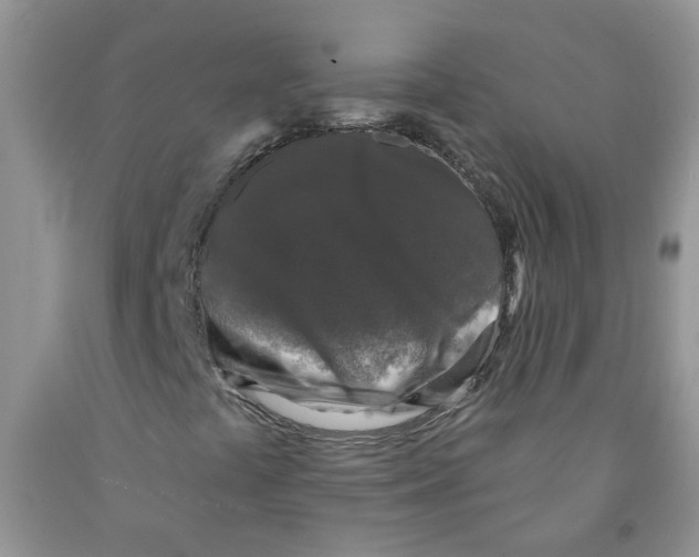 X0000091511441200709141345