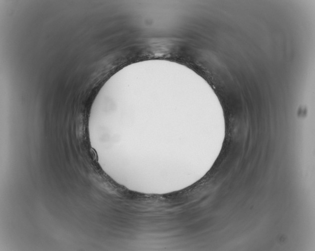 X0000091511442200709141345