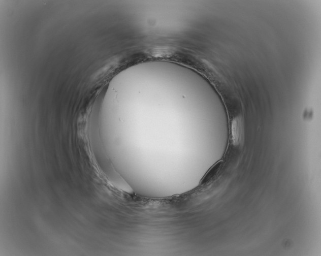 X0000091511443200709141345