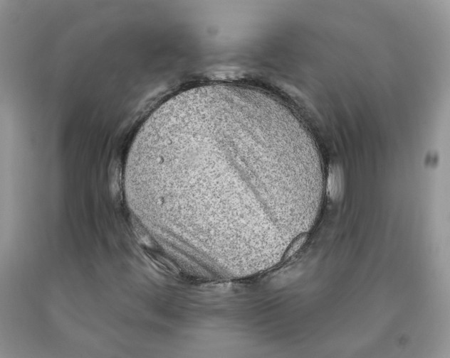 X0000091511444200709141345