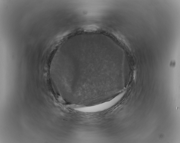 X0000091511445200709141345