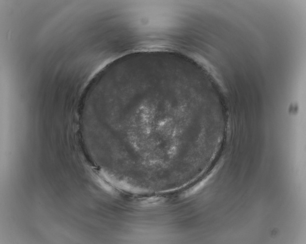 X0000091511449200709141345