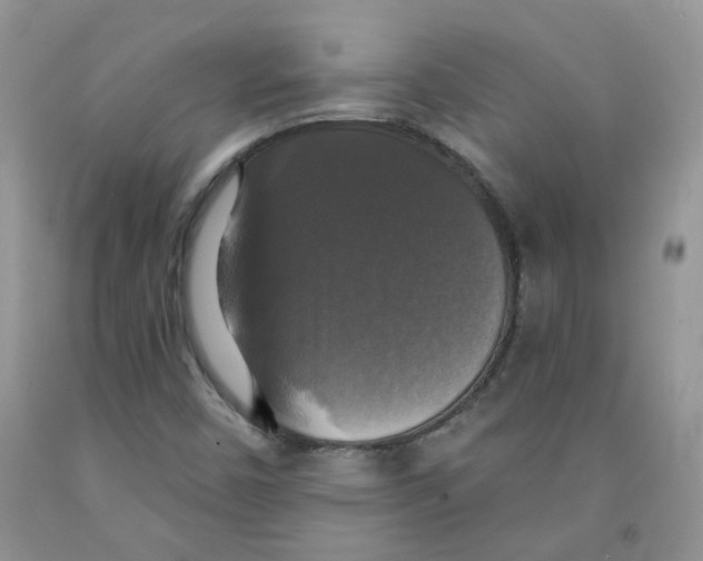 X0000091511450200709141345