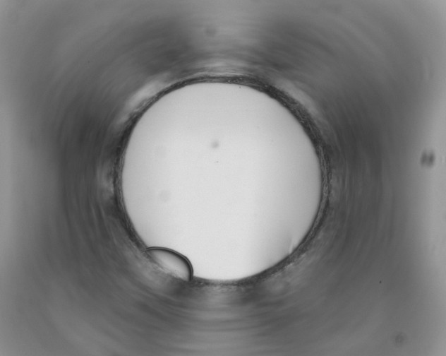 X0000091511451200709141345