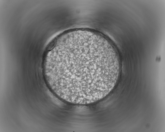 X0000091511452200709141345