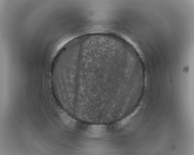 X0000091511453200709141345