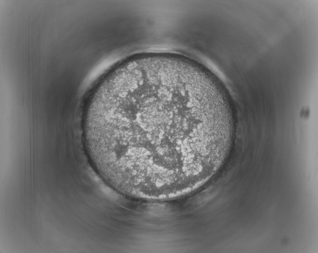 X0000091511456200709141345