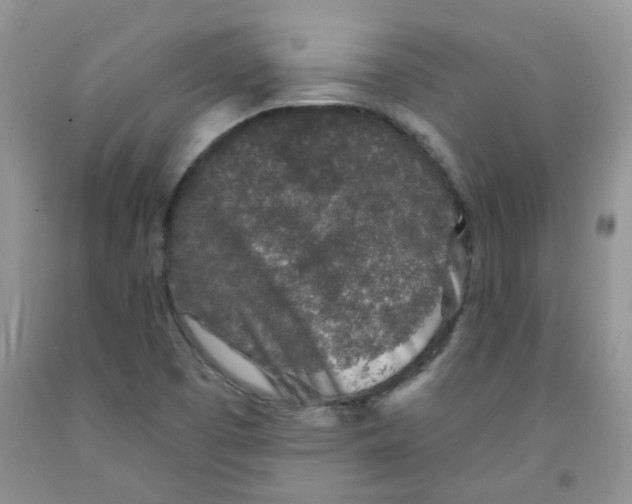 X0000091511457200709141345