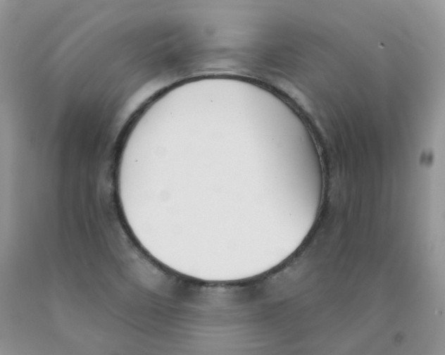 X0000091511458200709141345