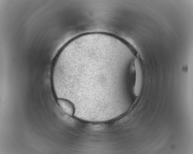 X0000091511460200709141345