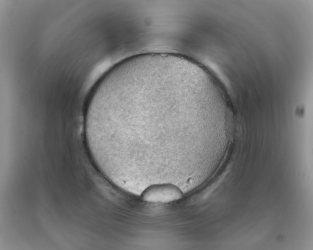 X0000091511461200709141345