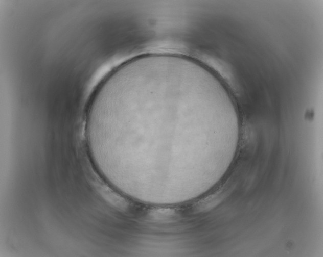 X0000091511462200709141345