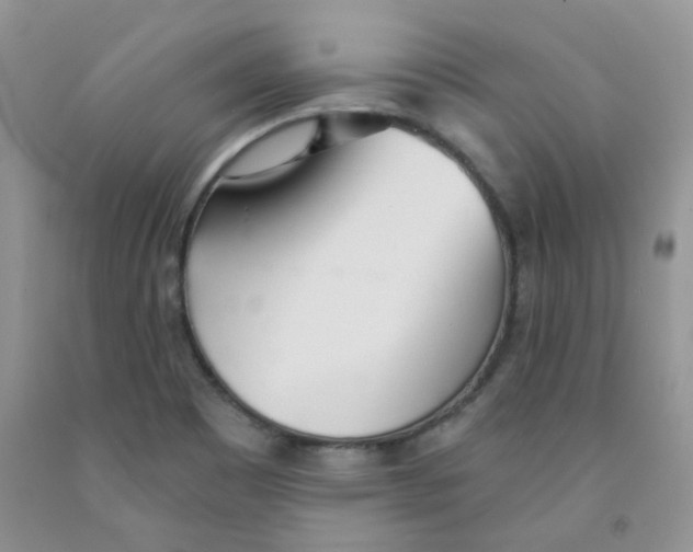 X0000091511465200709141345