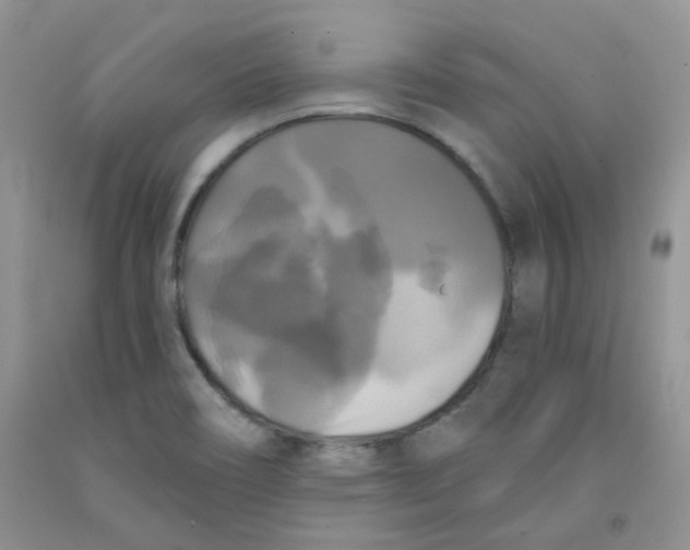 X0000091511466200709141345