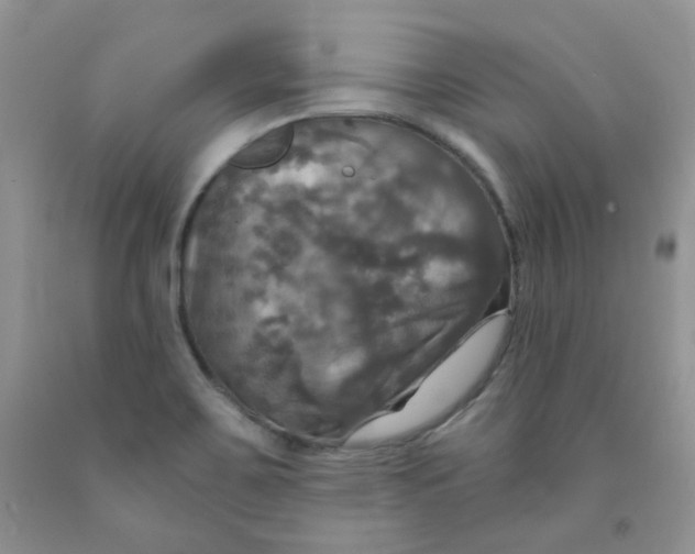 X0000091511467200709141345