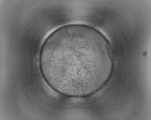 X0000091511468200709141345