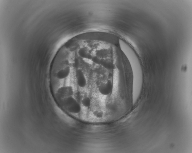 X0000091511471200709141345