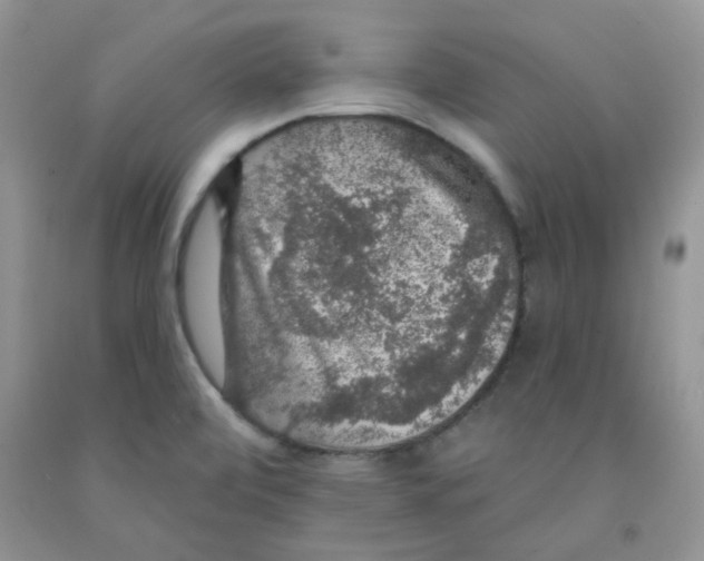 X0000091511472200709141345