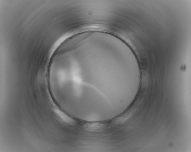 X0000091511474200709141345