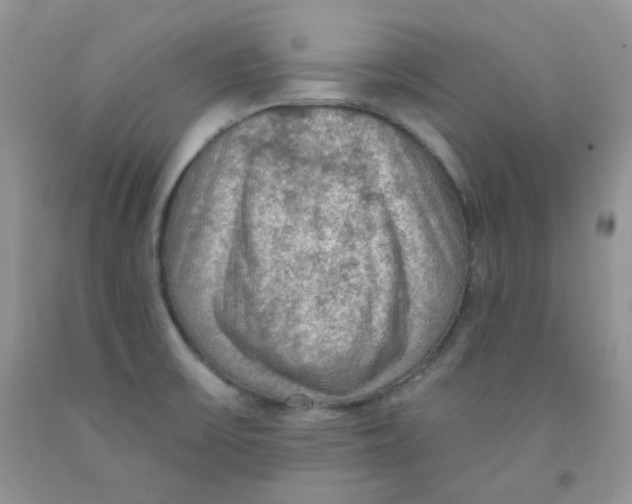 X0000091511475200709141345