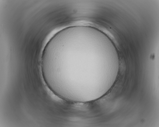 X0000091511478200709141345