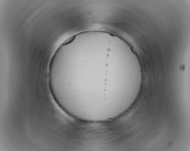 X0000091511479200709141345